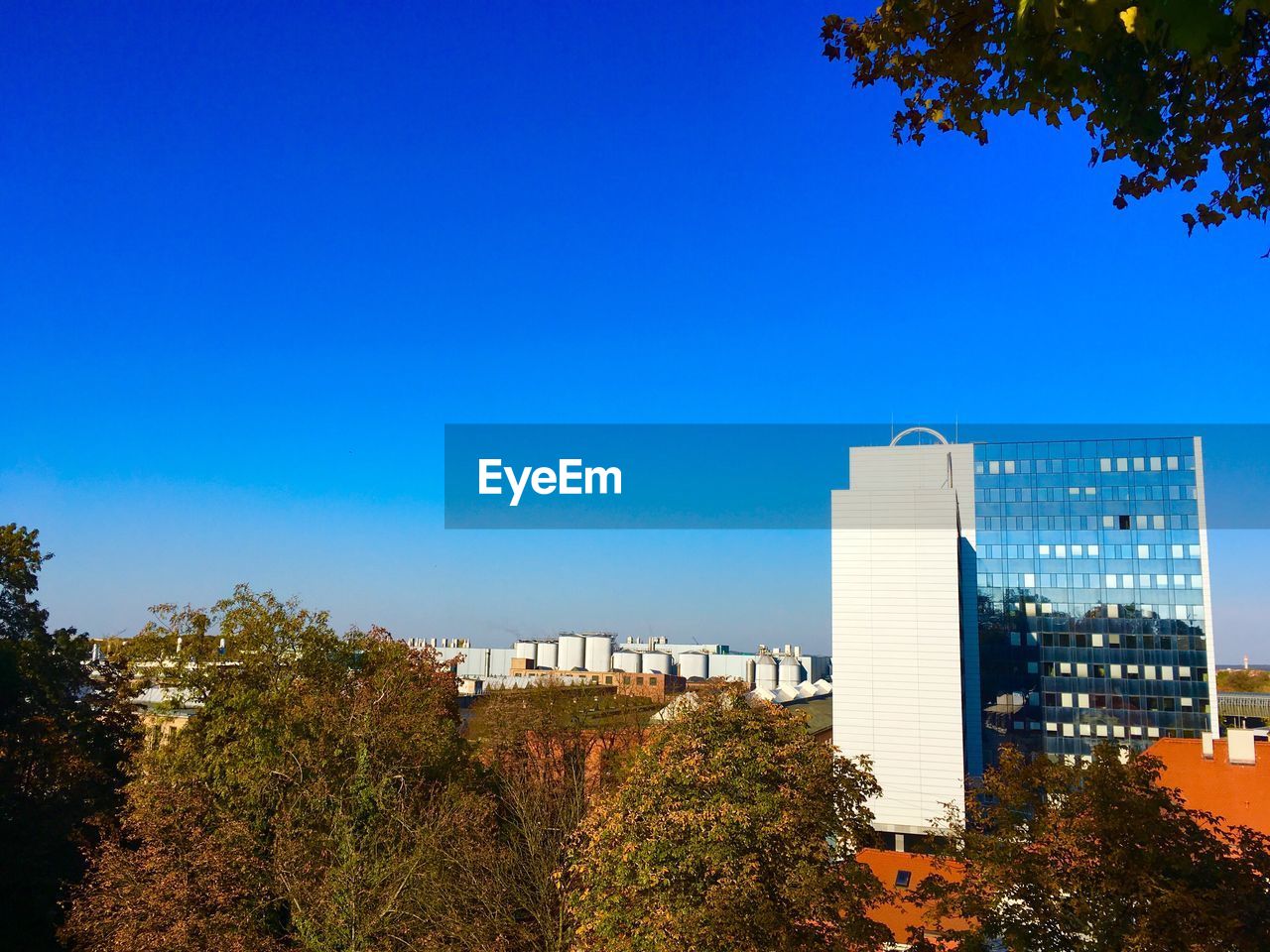 Trees and buildings against blue sky