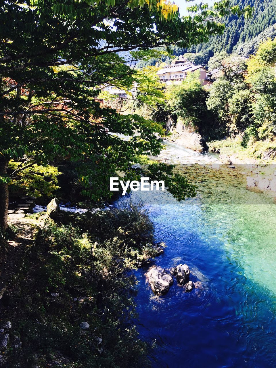 Scenic view of landscape against blue sky