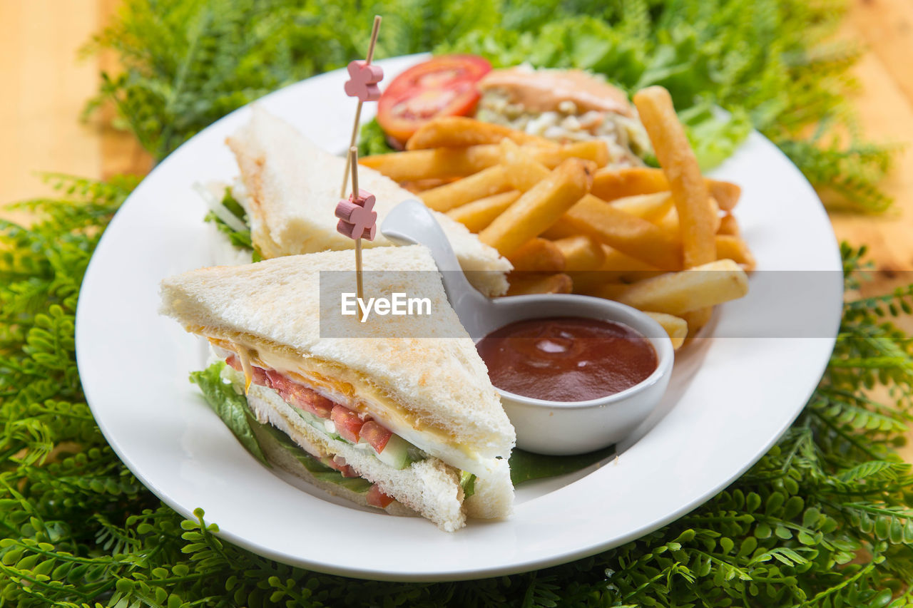 HIGH ANGLE VIEW OF FOOD SERVED IN PLATE