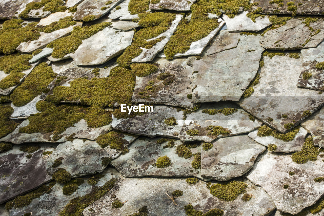FULL FRAME SHOT OF STONE WALL WITH ROCK