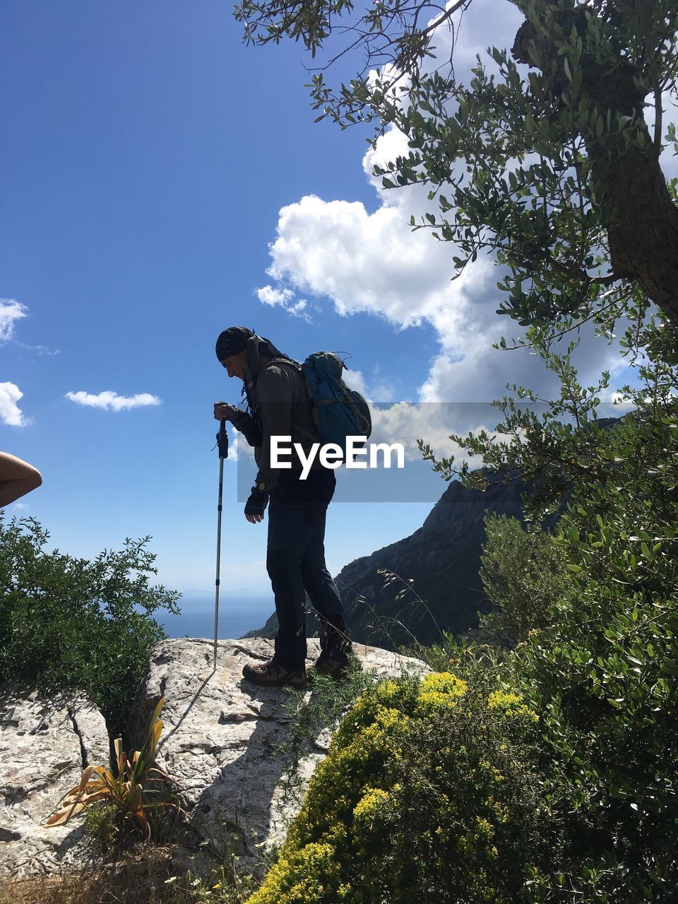 MAN STANDING BY TREE AGAINST MOUNTAIN