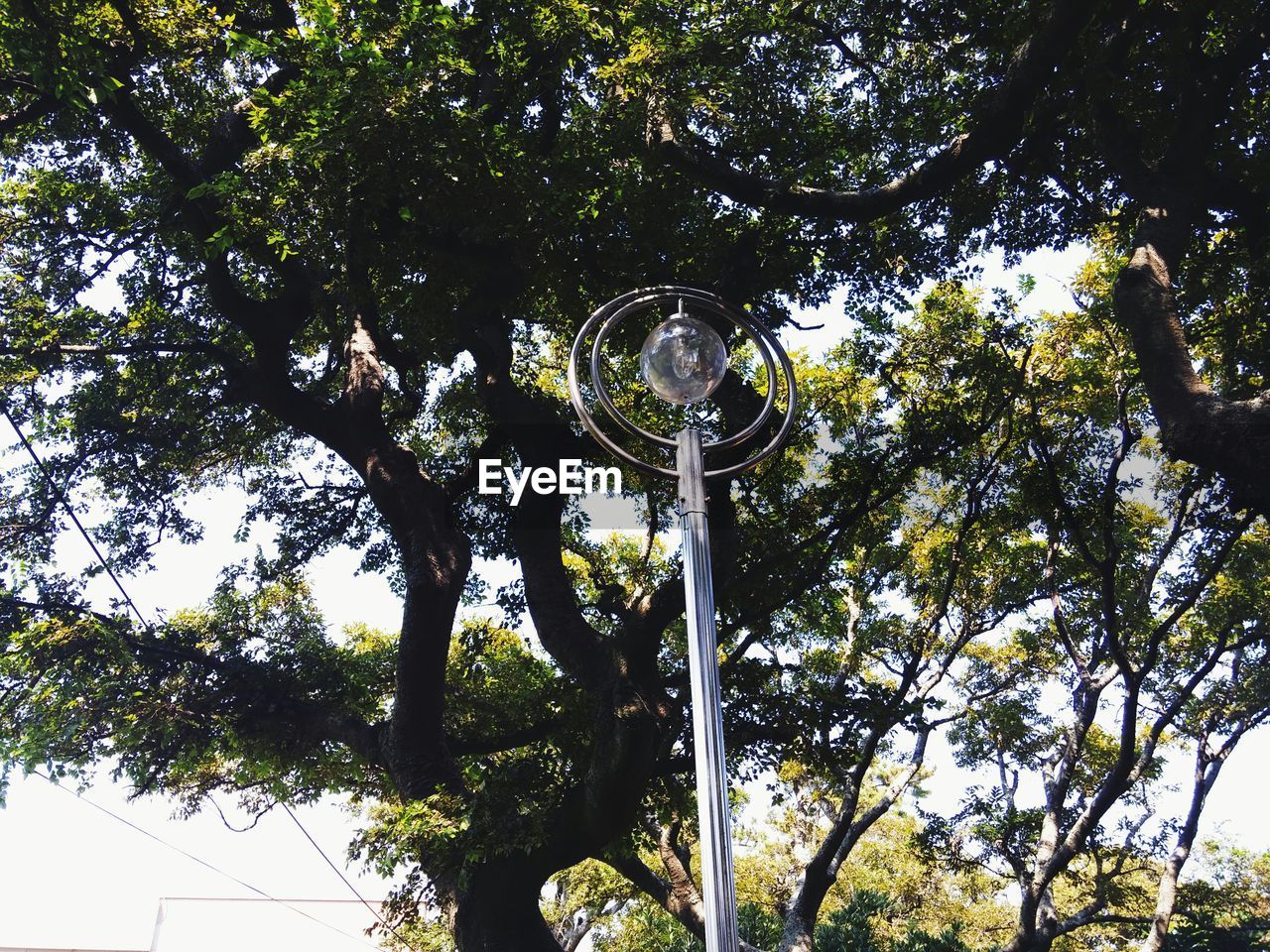 Low angle view of street light against trees