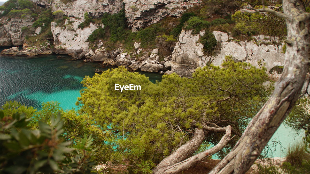 High angle view of trees against sea and rocks