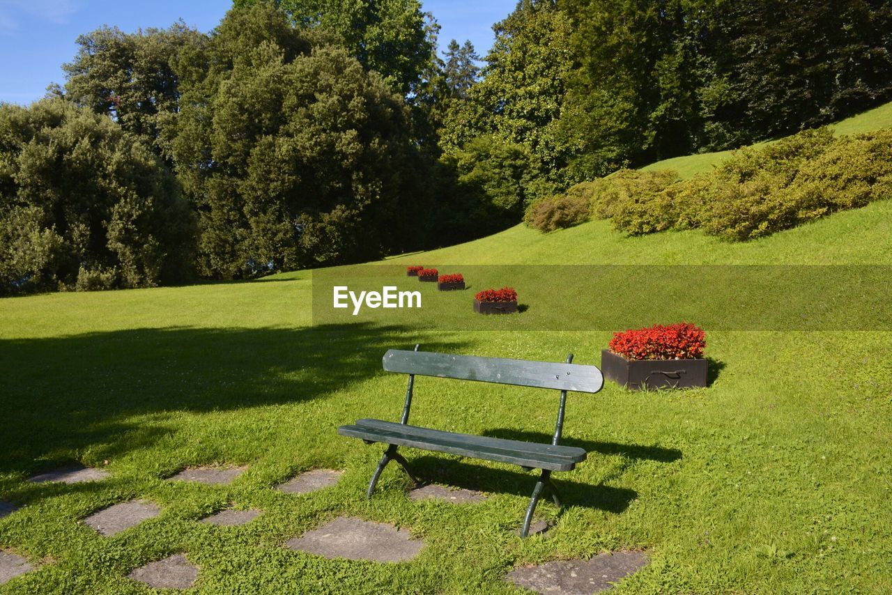 Empty bench at park on sunny day