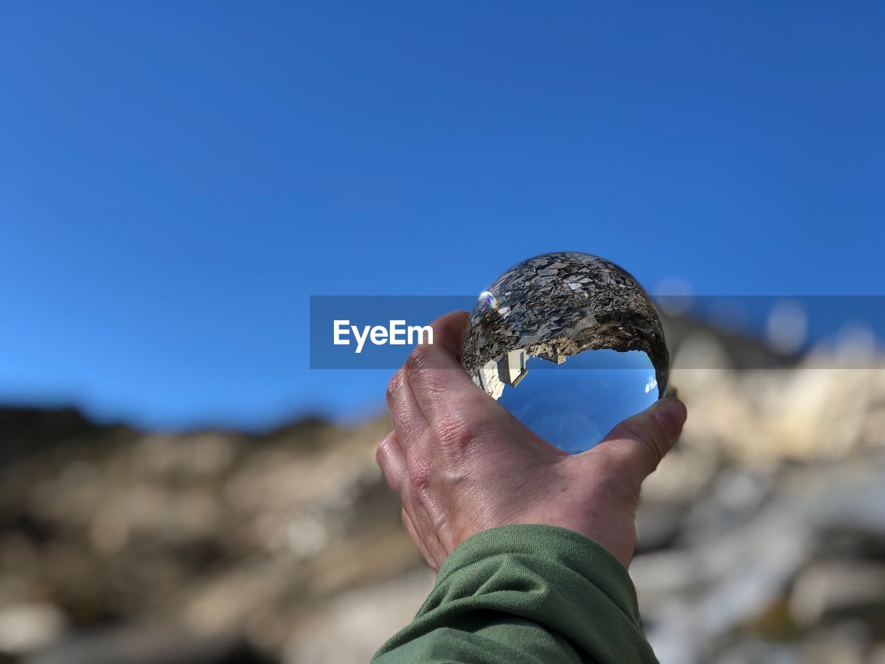 Close-up of hand holding crab against blue sky