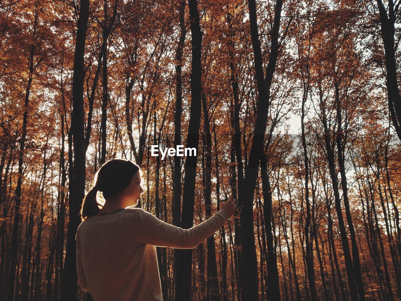 Low angle view of woman standing amidst trees in forest