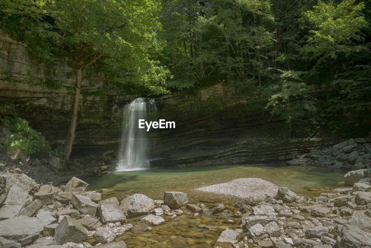 VIEW OF WATERFALL IN FOREST