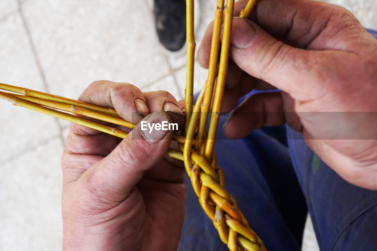 High angle view of people holding stem