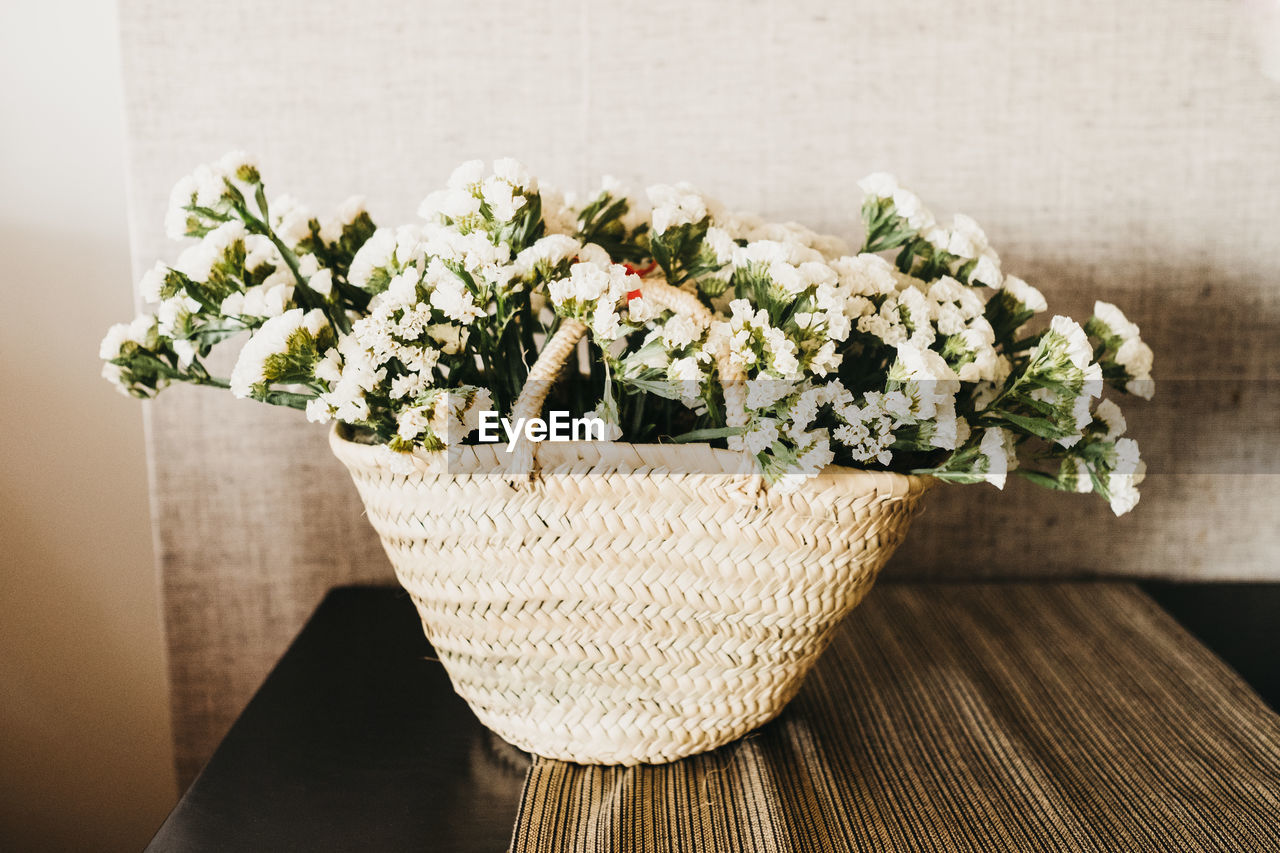 CLOSE-UP OF FLOWER POT ON TABLE