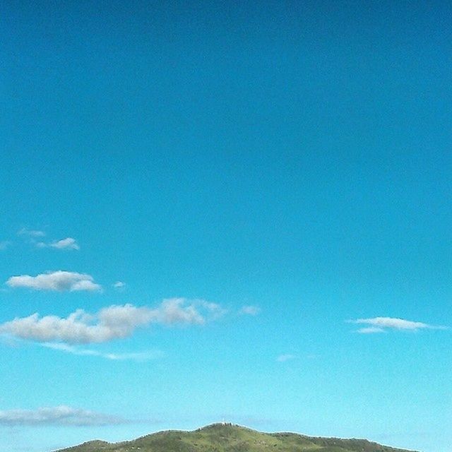 LOW ANGLE VIEW OF TREES AGAINST BLUE SKY