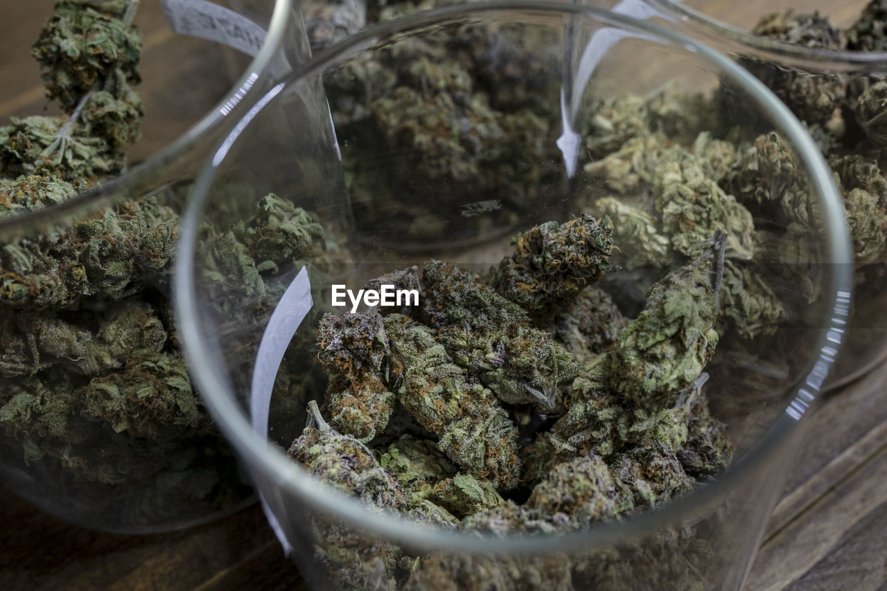 High angle of containers with collection of dry hemp floral buds on table in workspace