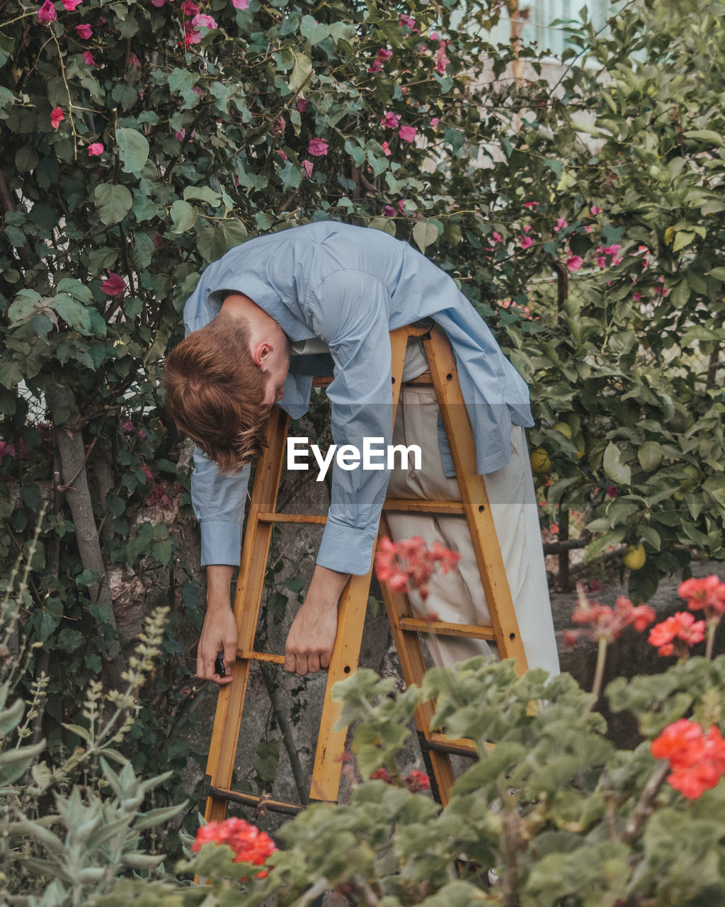 Rear view of person standing by flower plants