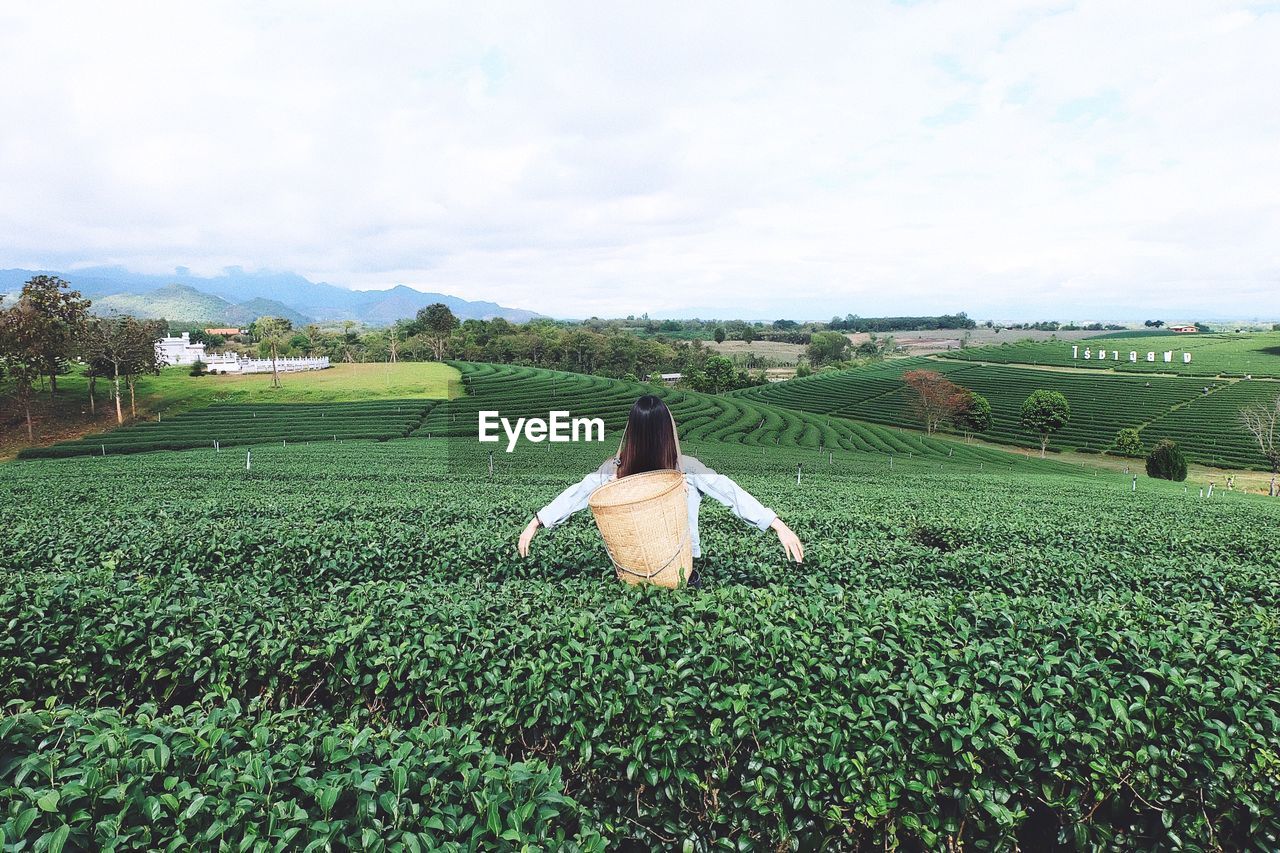 SCENIC VIEW OF FARM FIELD AGAINST SKY