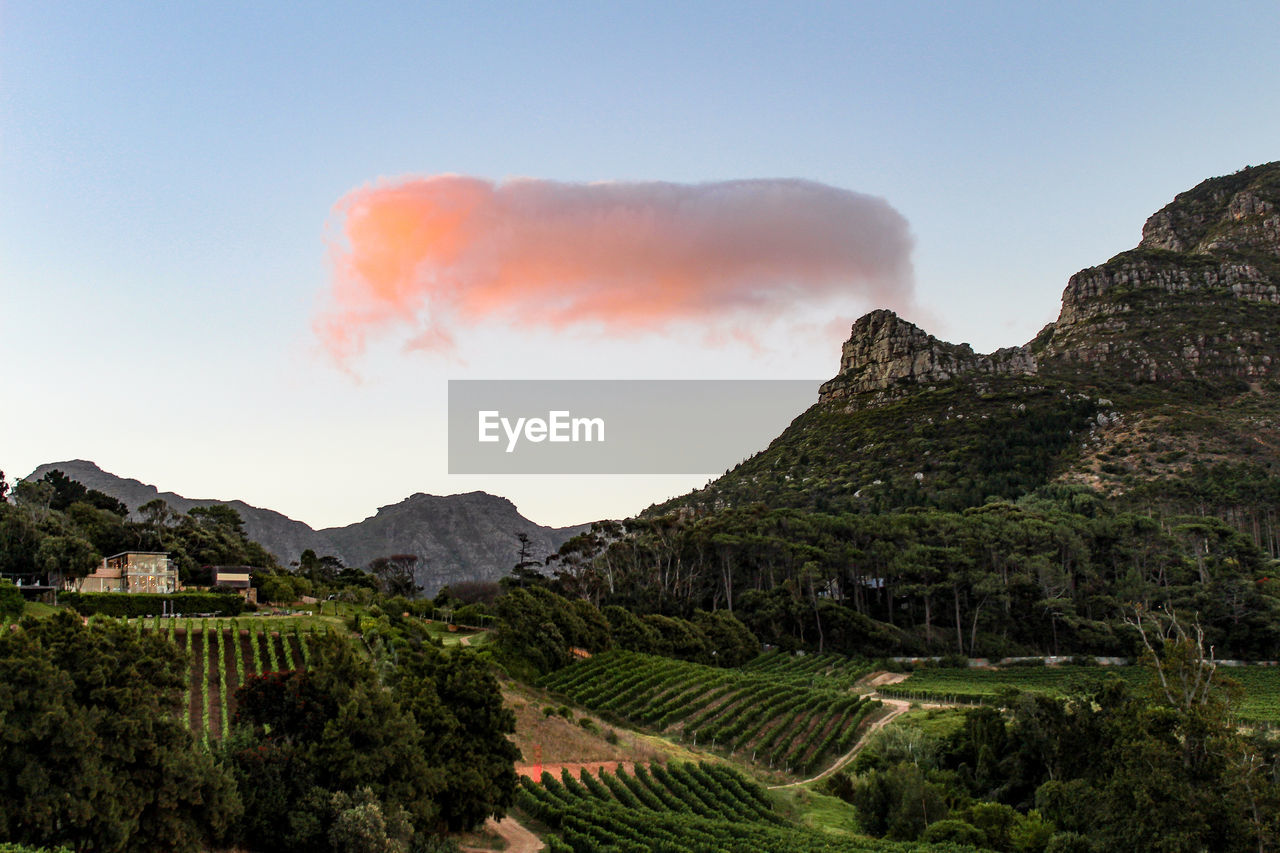 SCENIC VIEW OF LAND AGAINST SKY