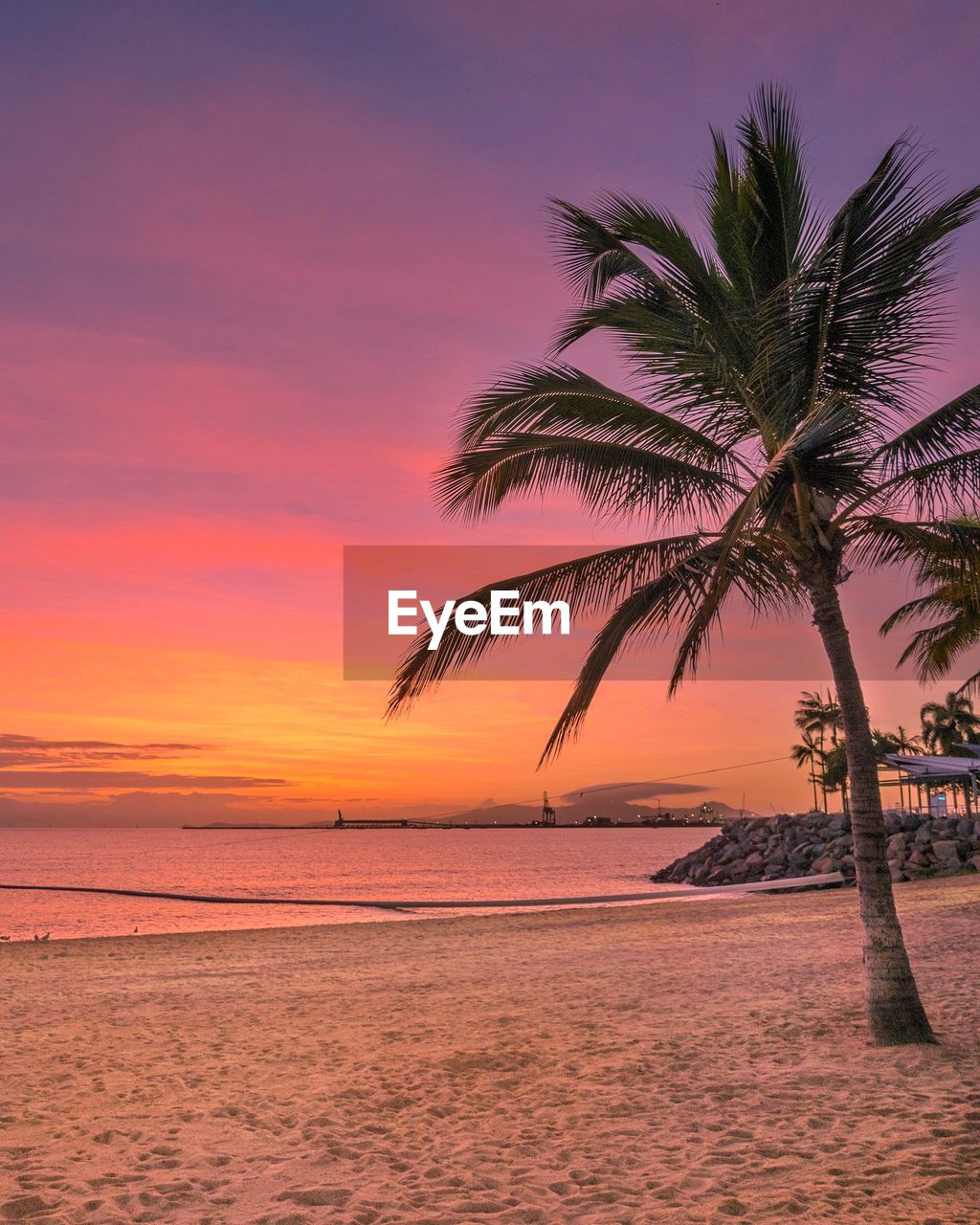 PALM TREE ON BEACH AGAINST SUNSET SKY