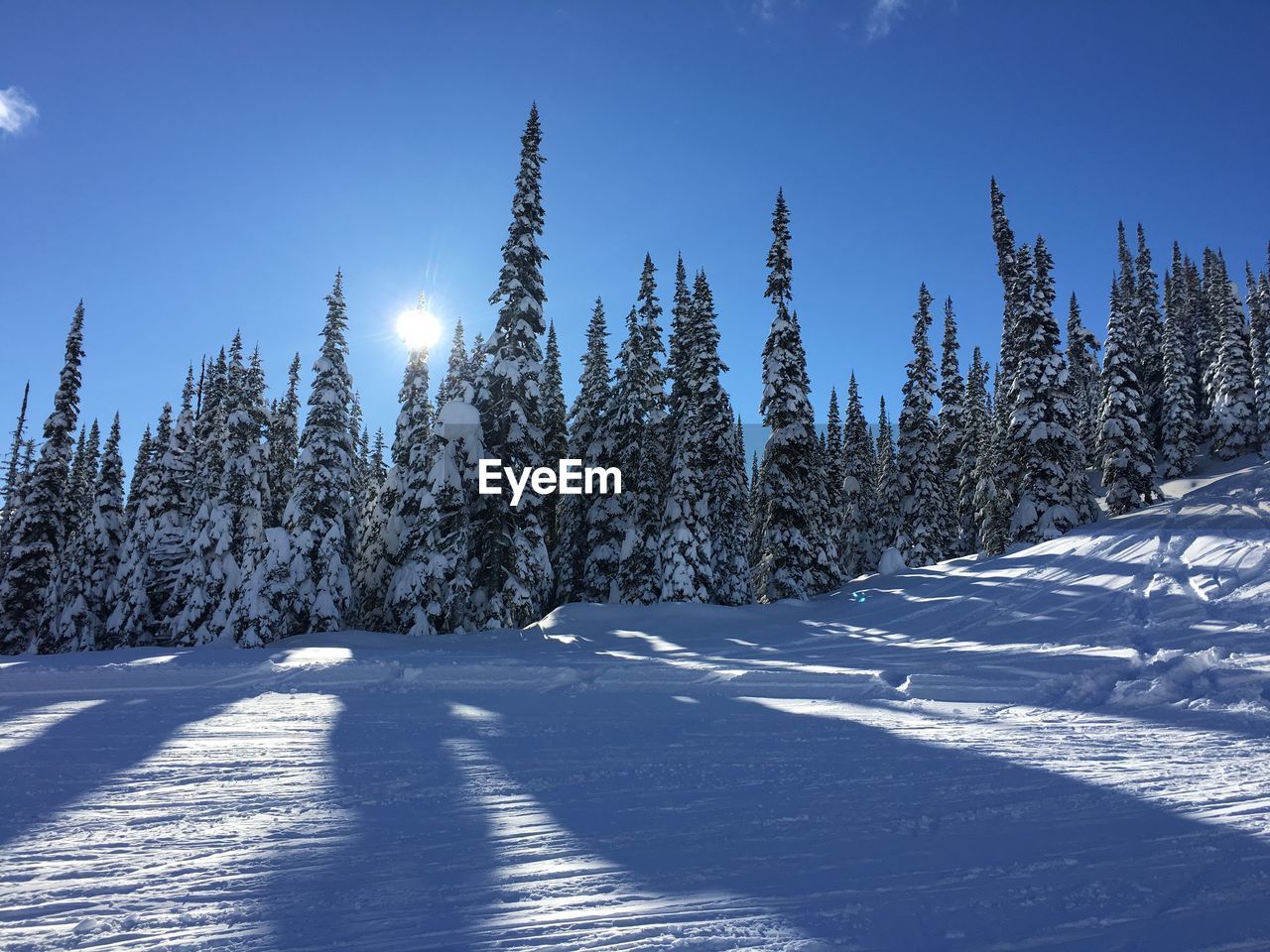 Scenic view of snow covered landscape