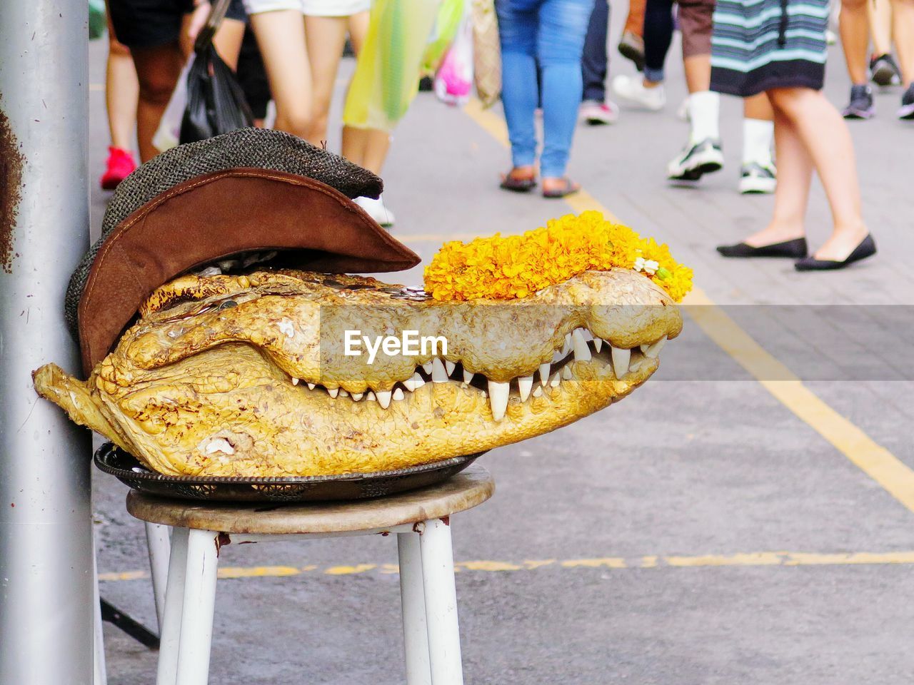 Low section of crocodile head on chair