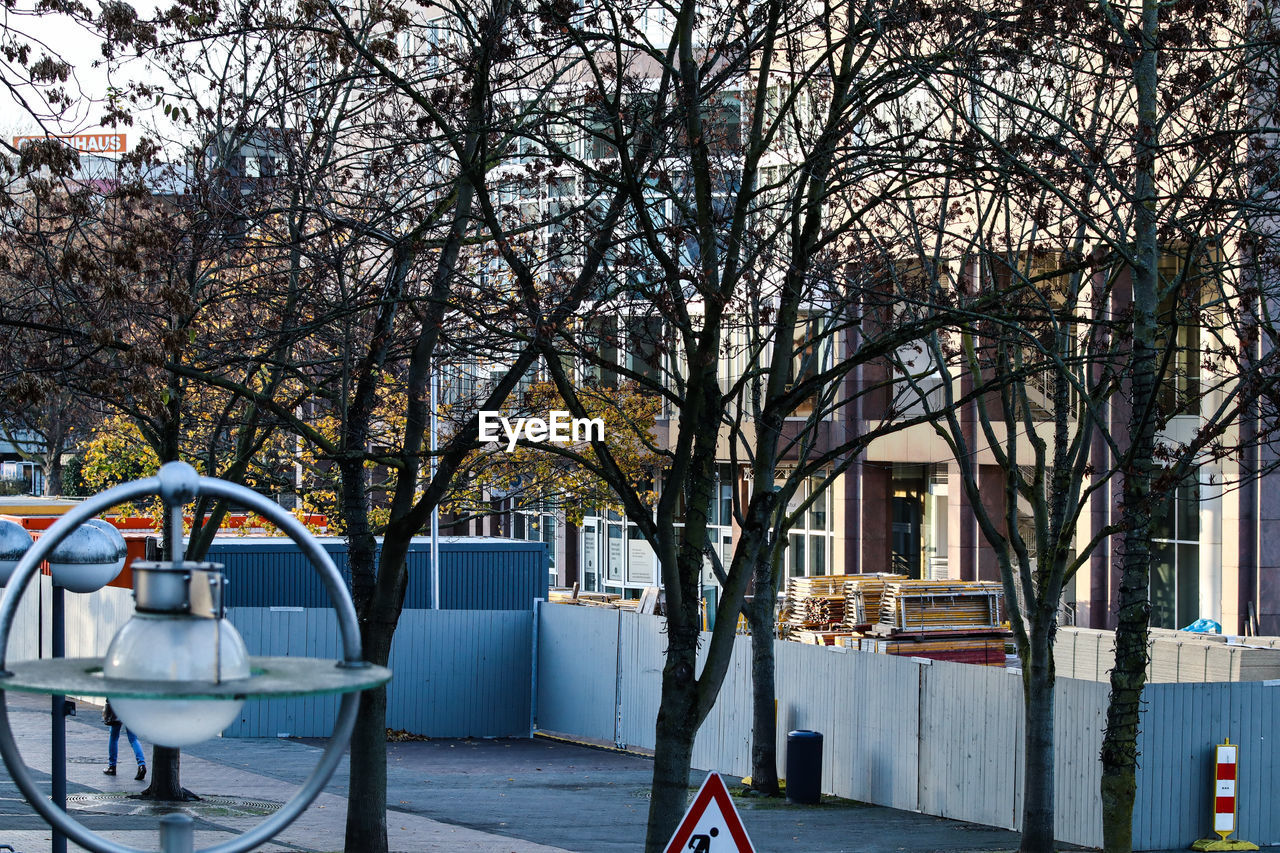 TREES AND BUILDINGS IN CITY