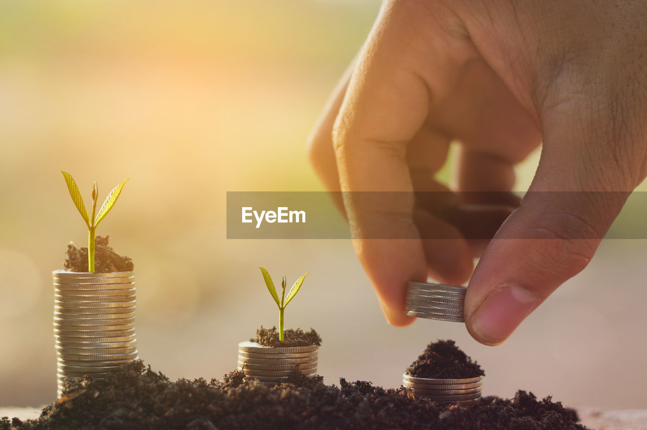 Cropped hand placing coins on soil