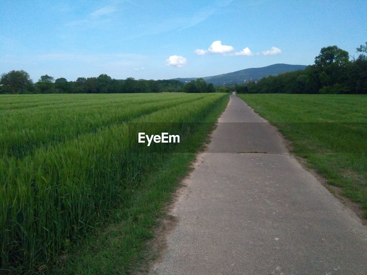 Road amidst field against sky