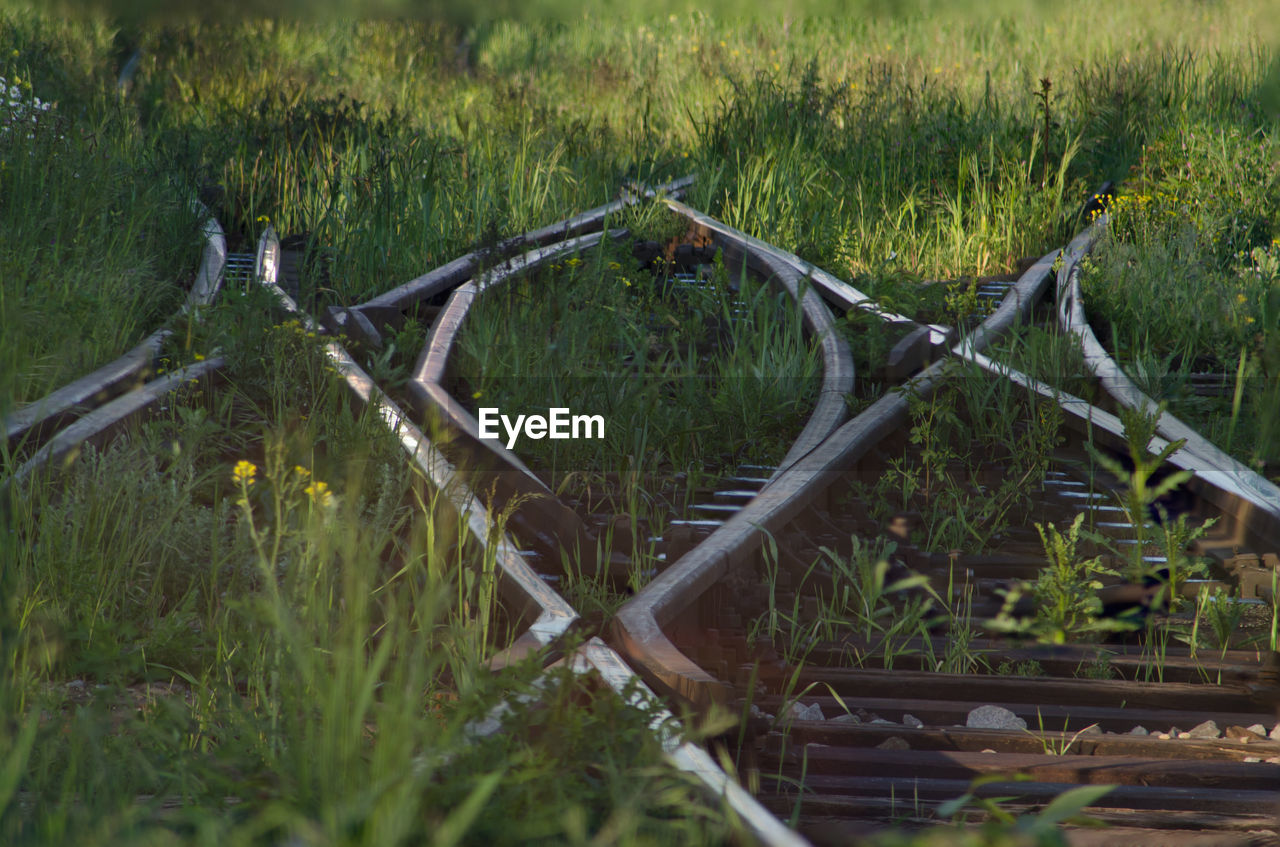 Railway tracks in grass