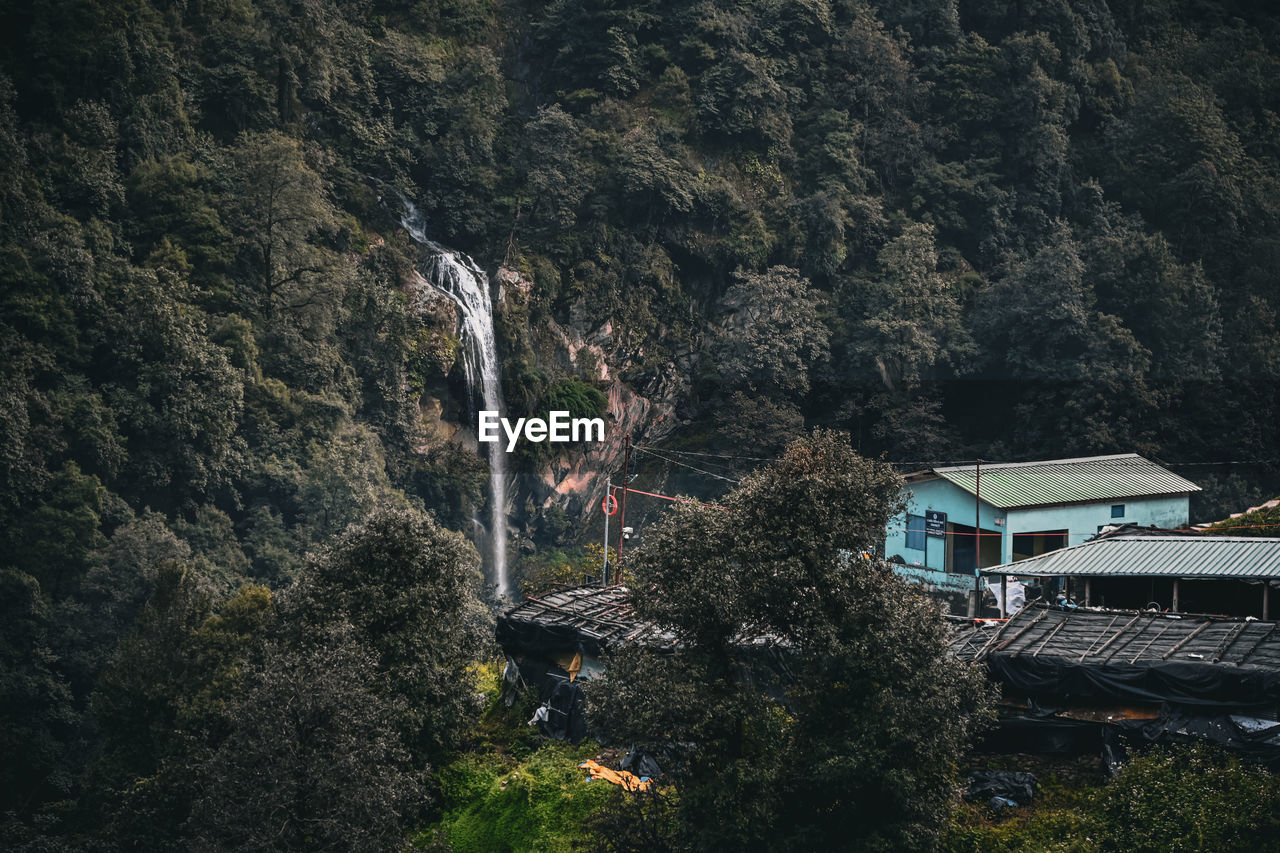 plant, tree, mountain, built structure, architecture, nature, high angle view, aerial photography, no people, building exterior, growth, land, day, outdoors, beauty in nature, mountain range, house, building, scenics - nature, forest, transportation