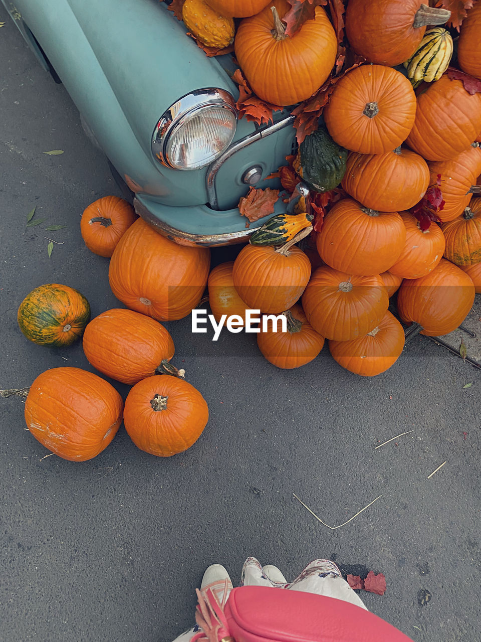 high angle view of pumpkins on table