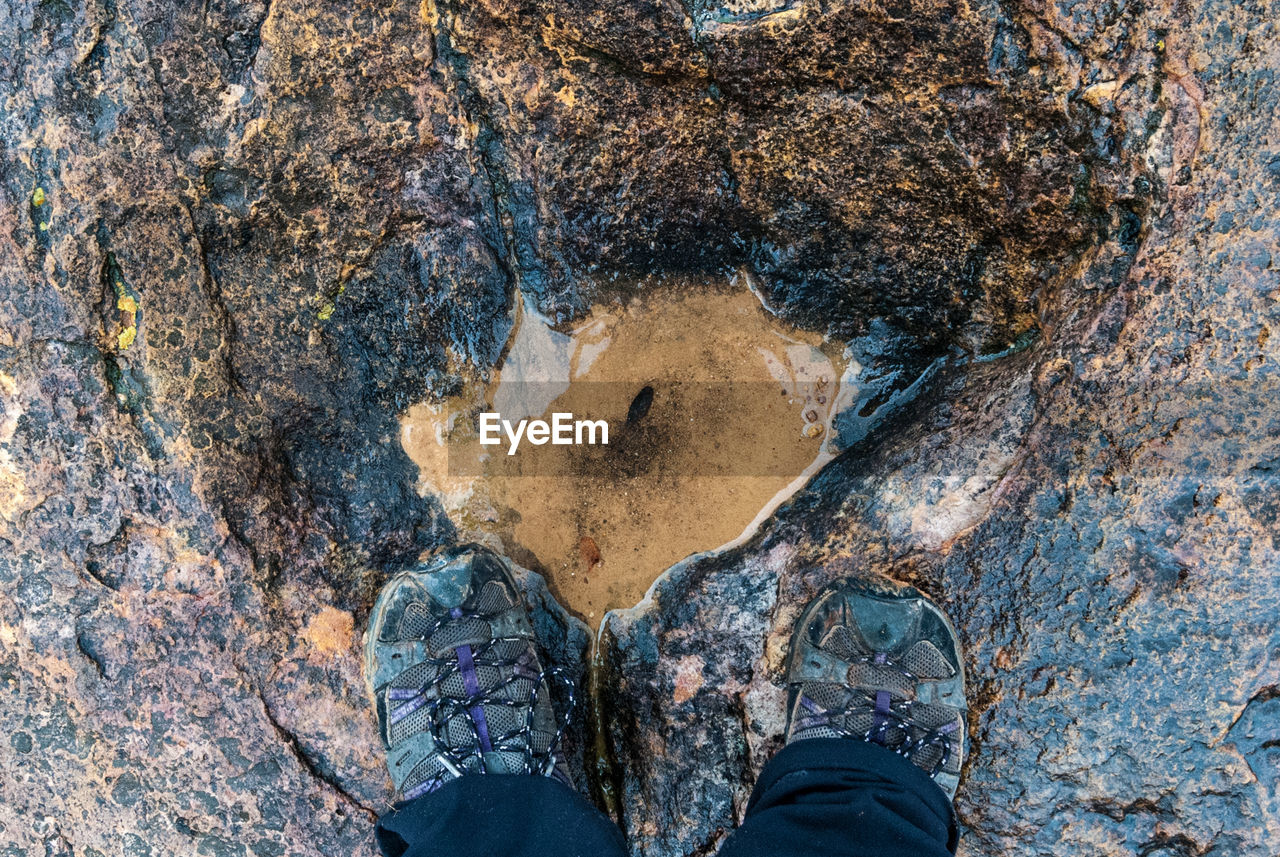 Low section of person on rock