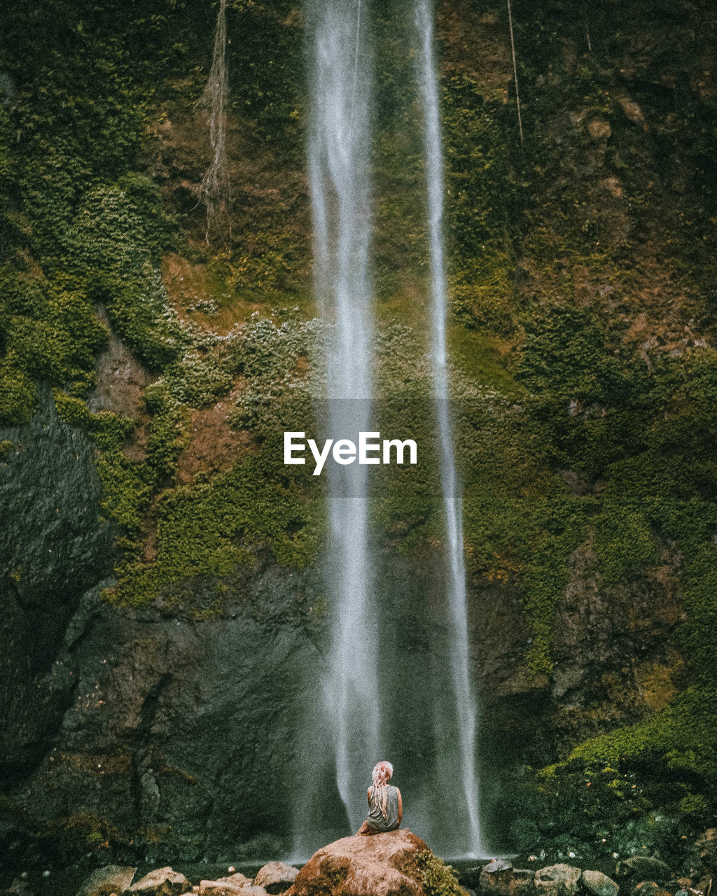 Scenic view of waterfall in forest