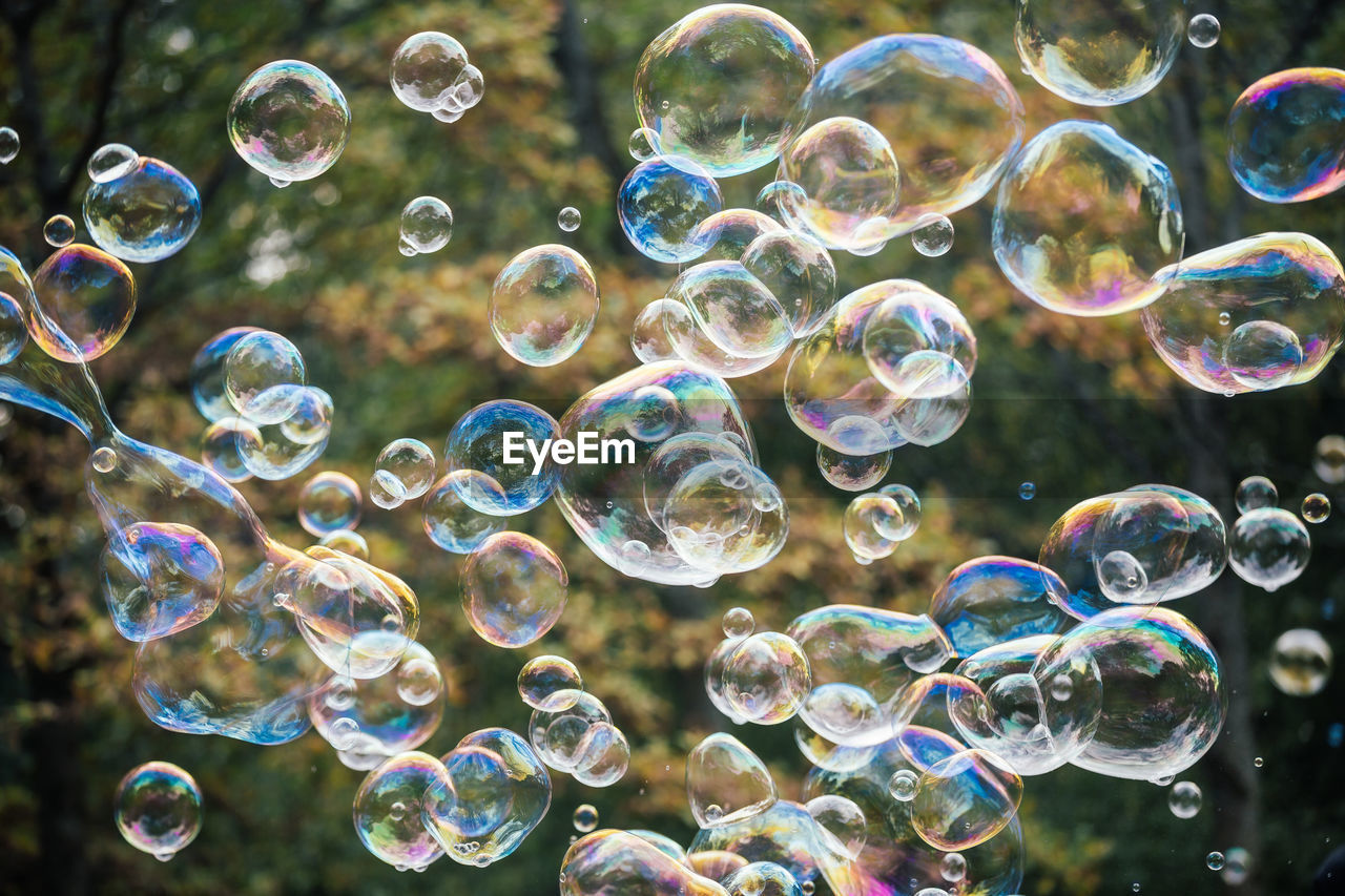 Close-up of bubbles