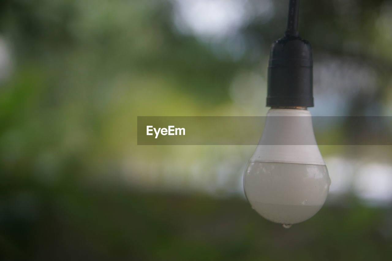 green, focus on foreground, close-up, no people, refreshment, hanging, light, bottle, water, drink, lighting, glass, nature, food and drink, incandescent light bulb, white, outdoors, container, day, single object, lighting equipment, macro photography, tree, plant