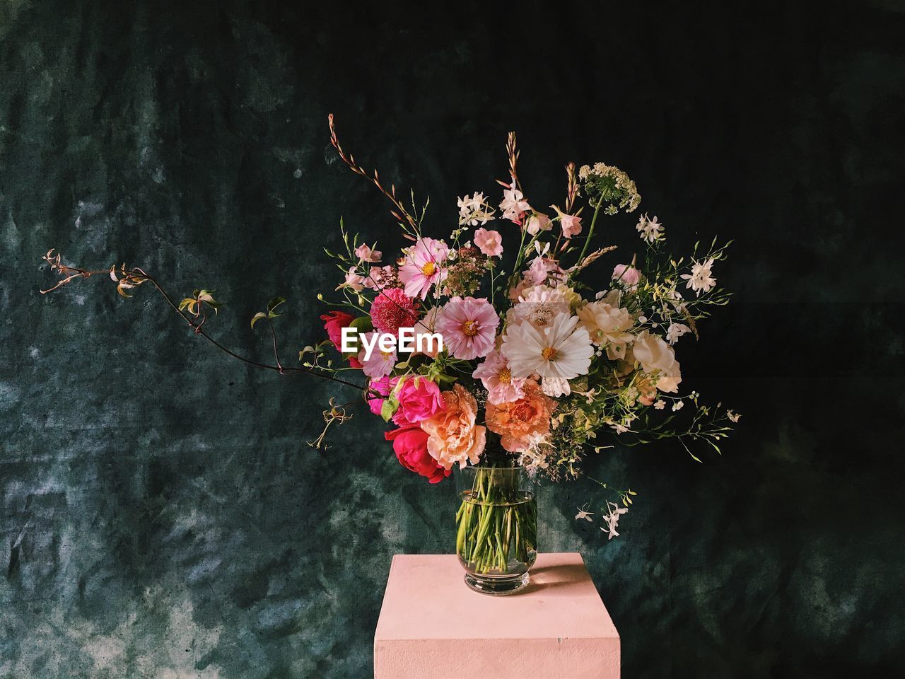 Close-up of flowers in vase