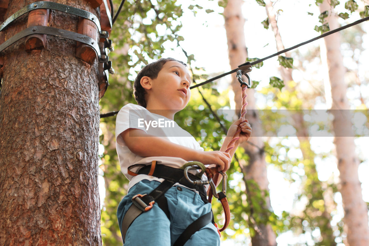 Low angle view of boy on obstacle course in forest