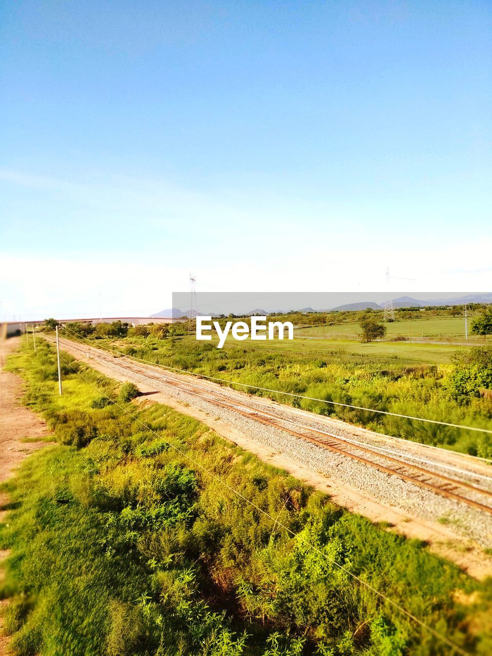 Railroad track amidst plants against sky