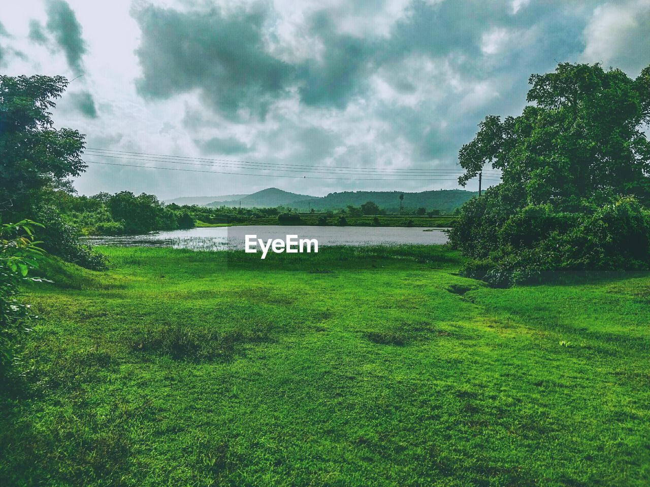 Scenic view of green landscape against sky