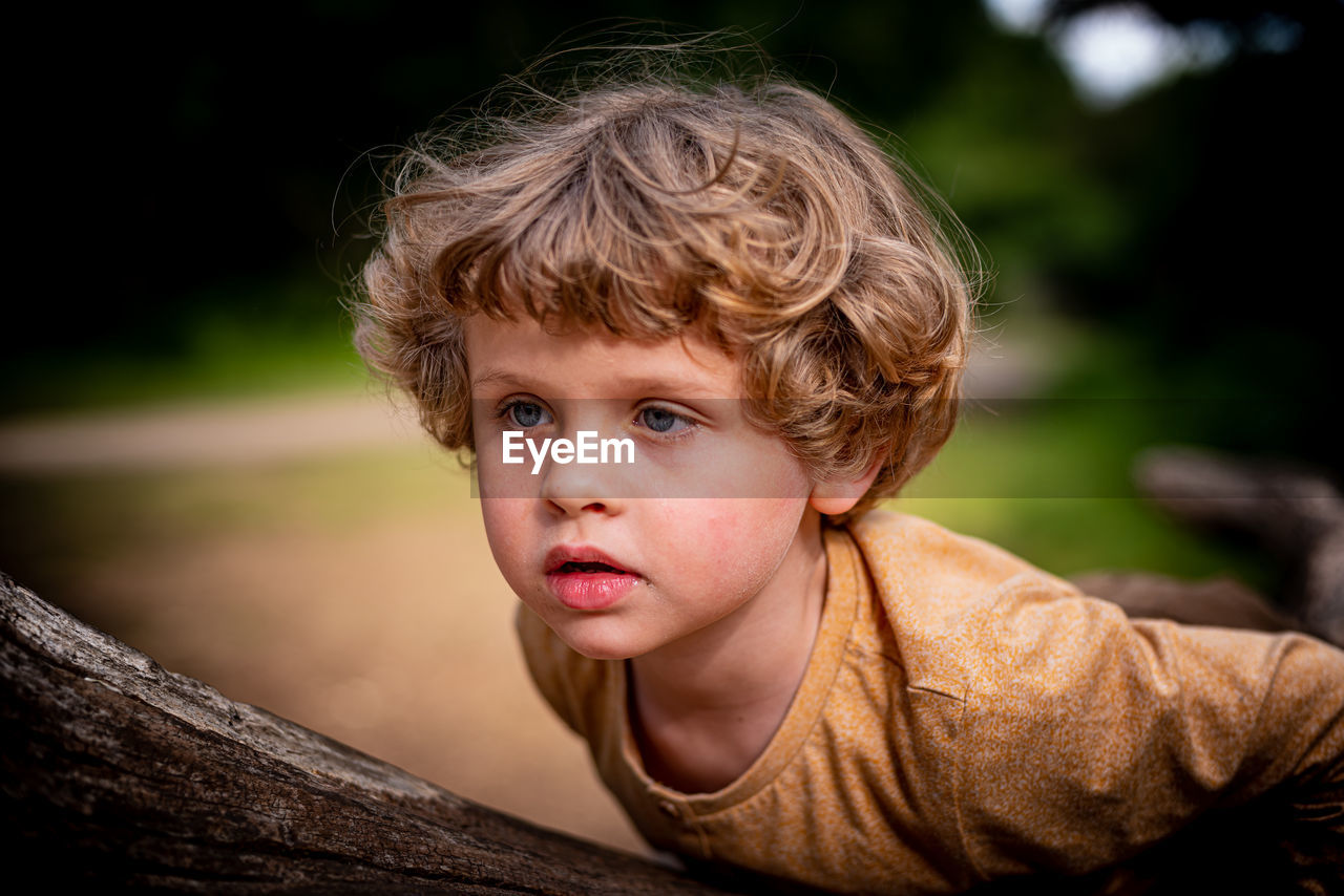 Beautiful boy playing on a trunk in epping forest