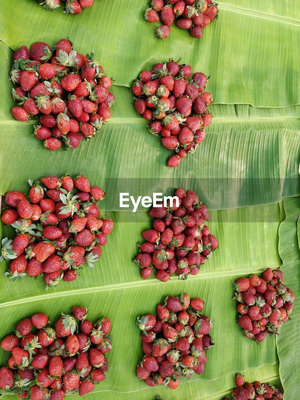 HIGH ANGLE VIEW OF FRUITS AND VEGETABLES