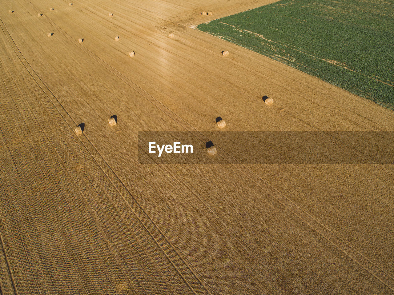 High angle aerial shot of hay bales on agricultural field
