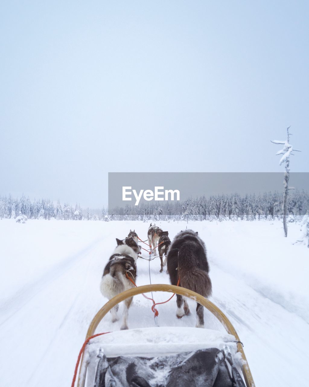 REAR VIEW OF WOMAN ON SNOWY FIELD AGAINST SKY