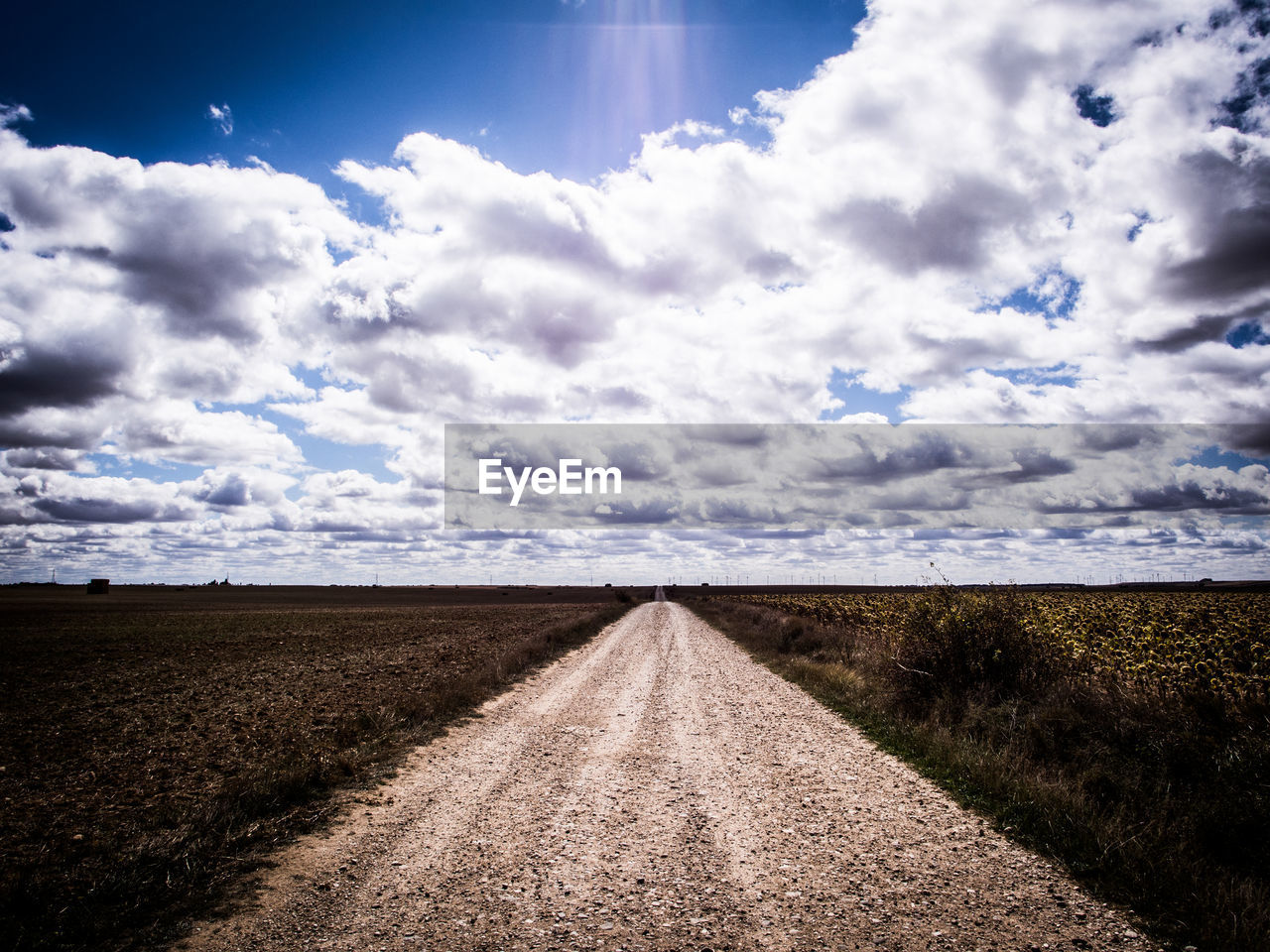 Road amidst agricultural field against sky