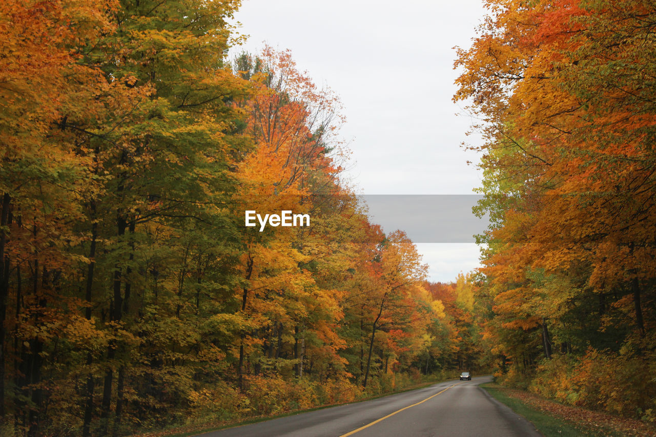 Road amidst trees against sky during autumn