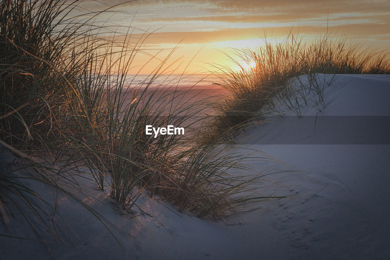 SCENIC VIEW OF BEACH DURING SUNSET