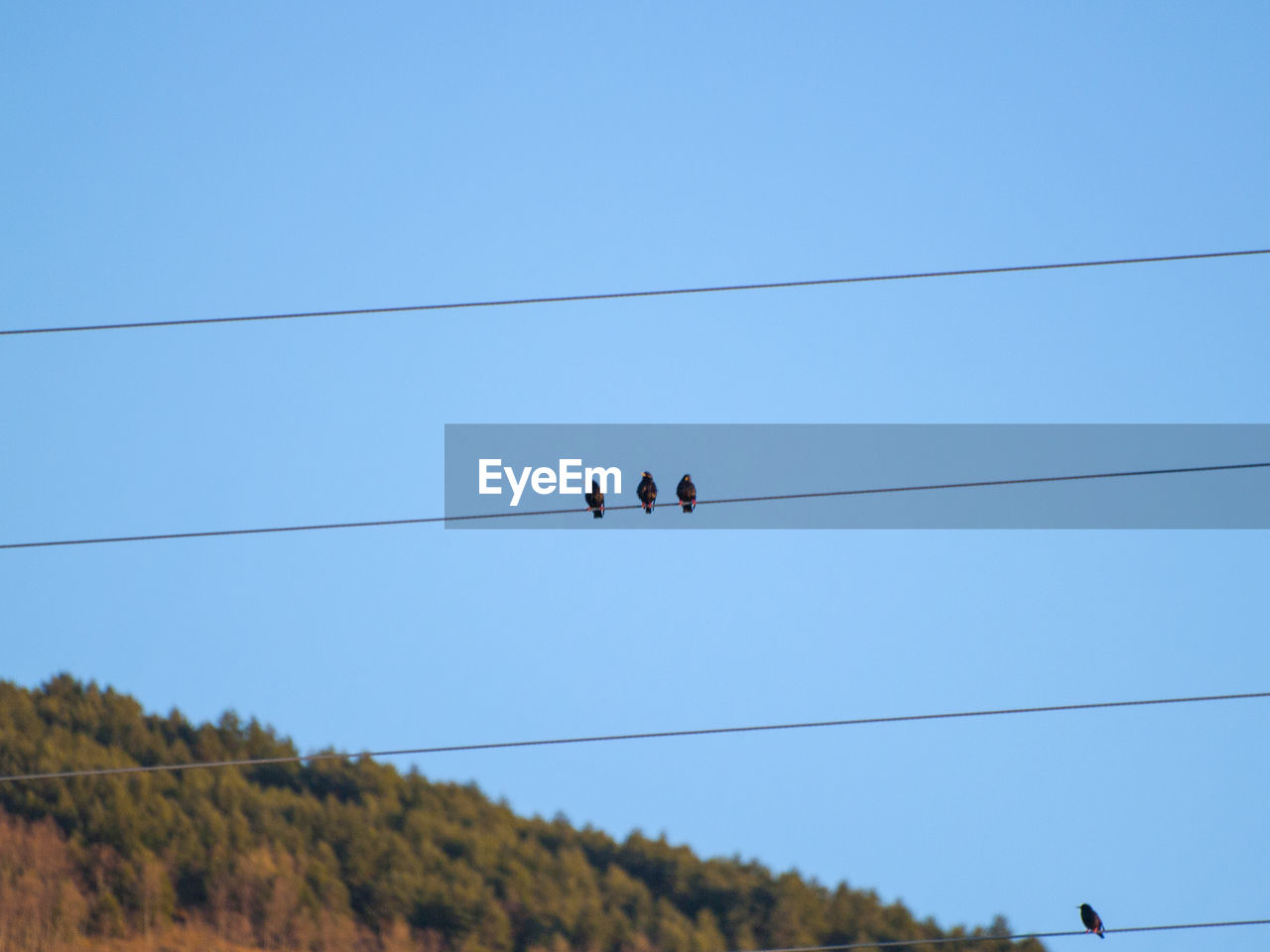 LOW ANGLE VIEW OF PEOPLE PERCHING ON CABLE AGAINST SKY