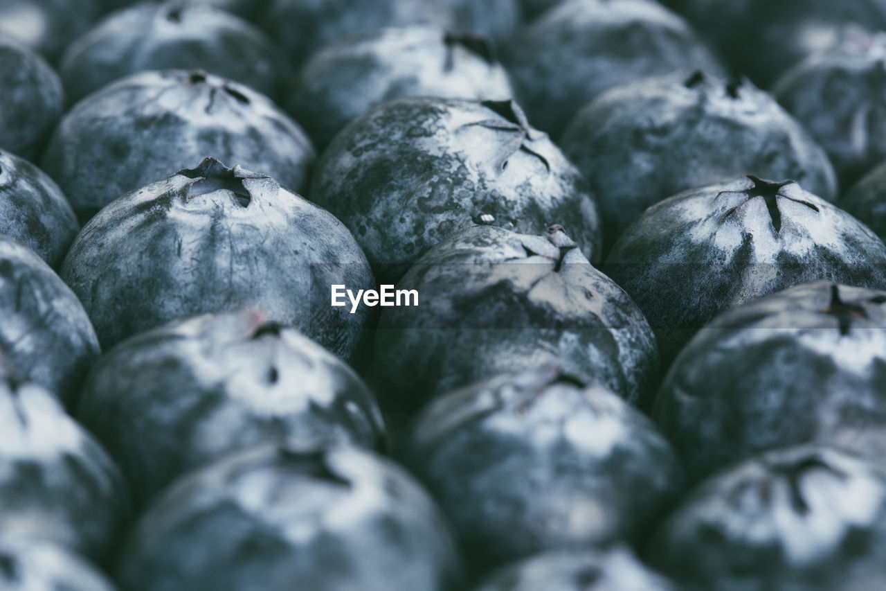 Full frame shot of rows of ripe and fresh organic blueberries in a food background with coffee space