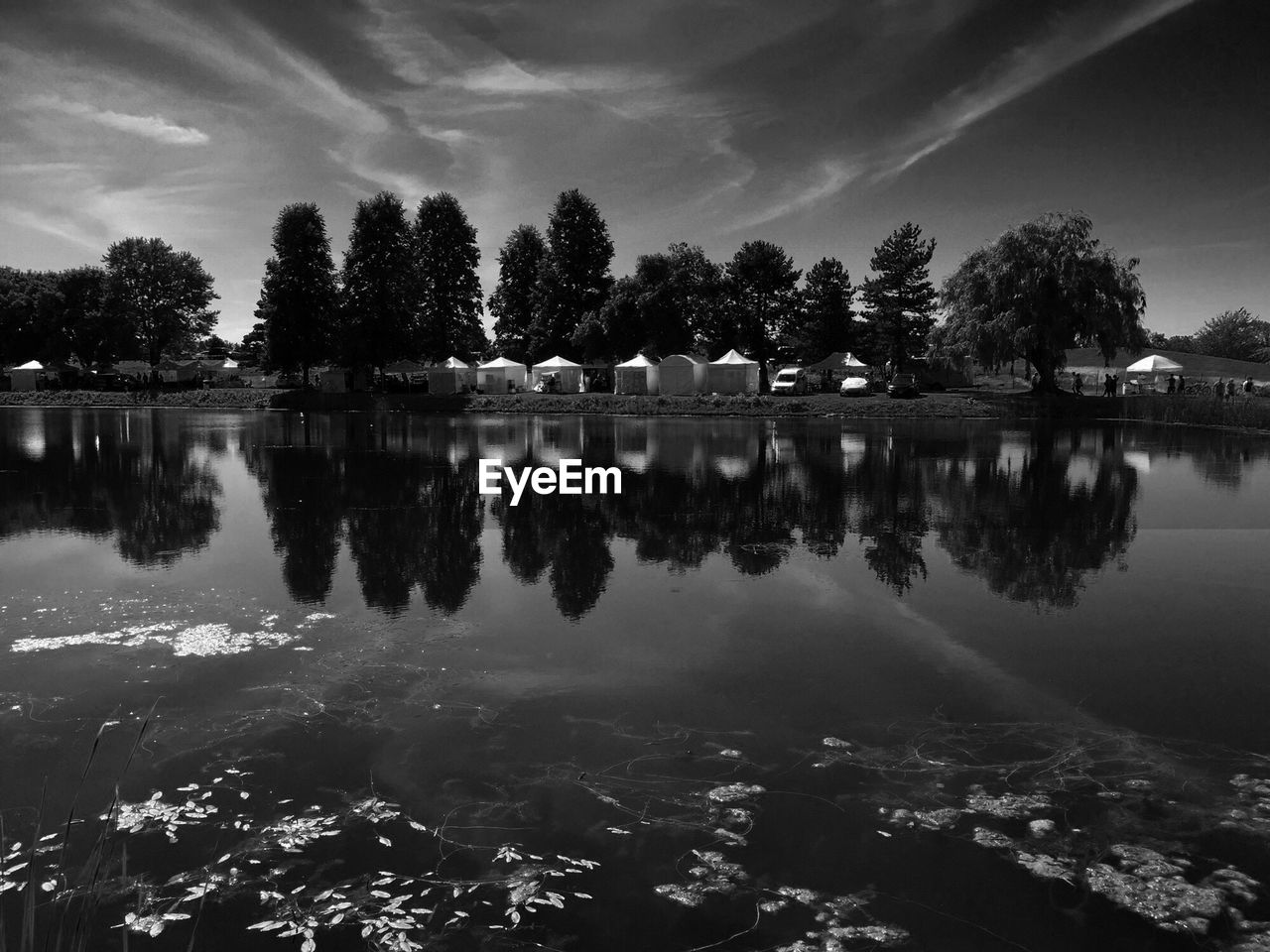 Reflection of trees in lake against sky