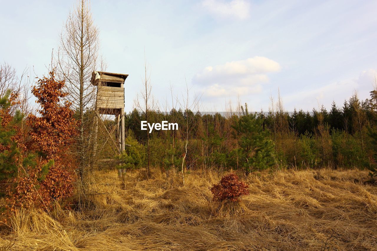 PLANTS GROWING ON LAND