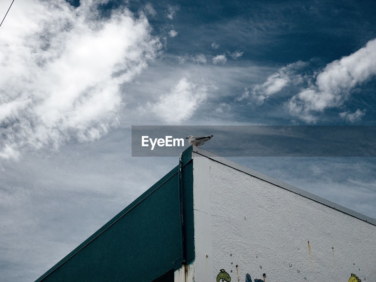 Low angle view of seagull perching on building roof against sky