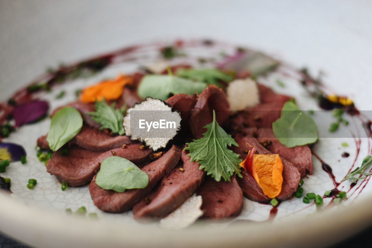 Close-up of food served in plate