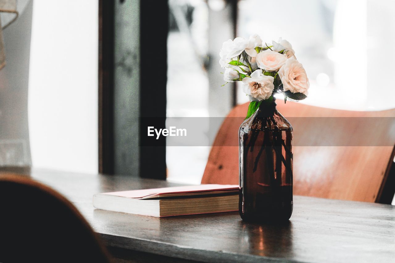 CLOSE-UP OF POTTED PLANT ON TABLE