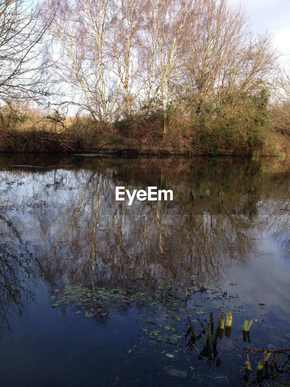 SCENIC VIEW OF LAKE